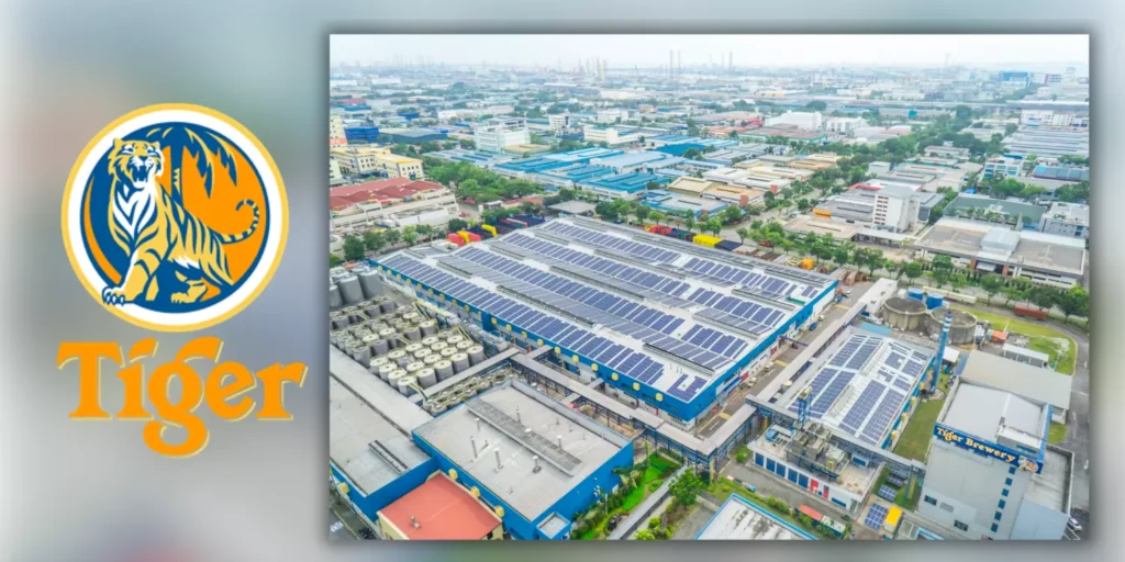 2015 - Solar Power Solutions with Asia Pacific Brewery